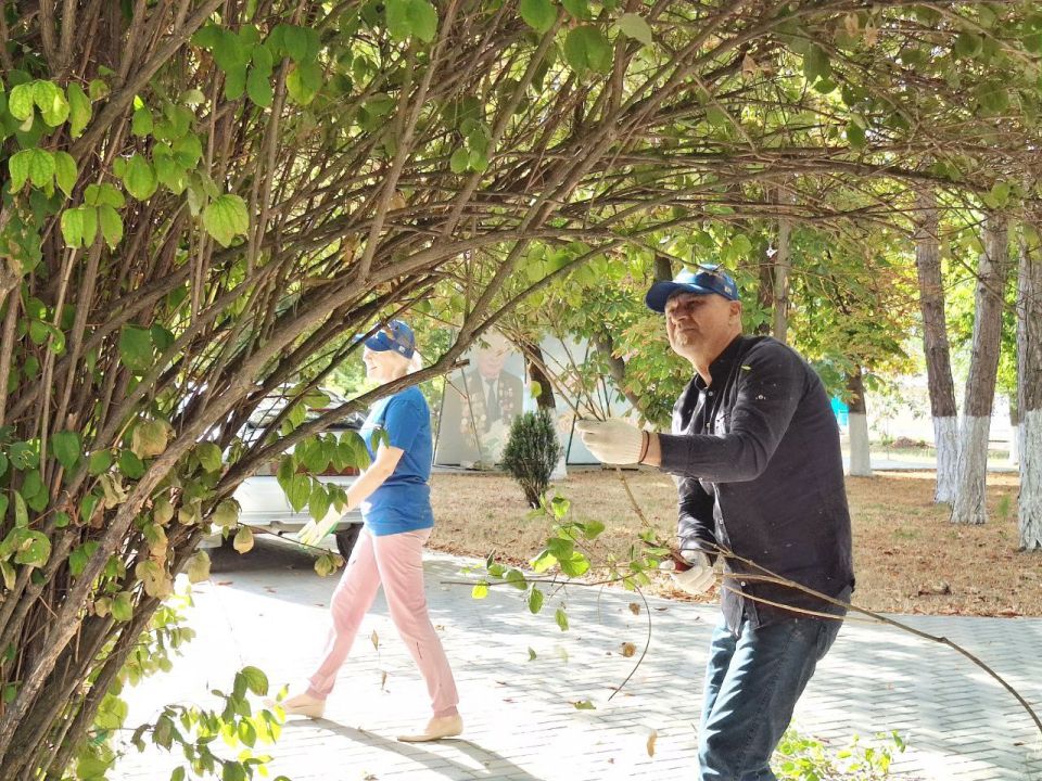 6 �������� � ��������� ������ ������ ��������� �� ���������� ������� � ��������������� ���������� ���������� �������