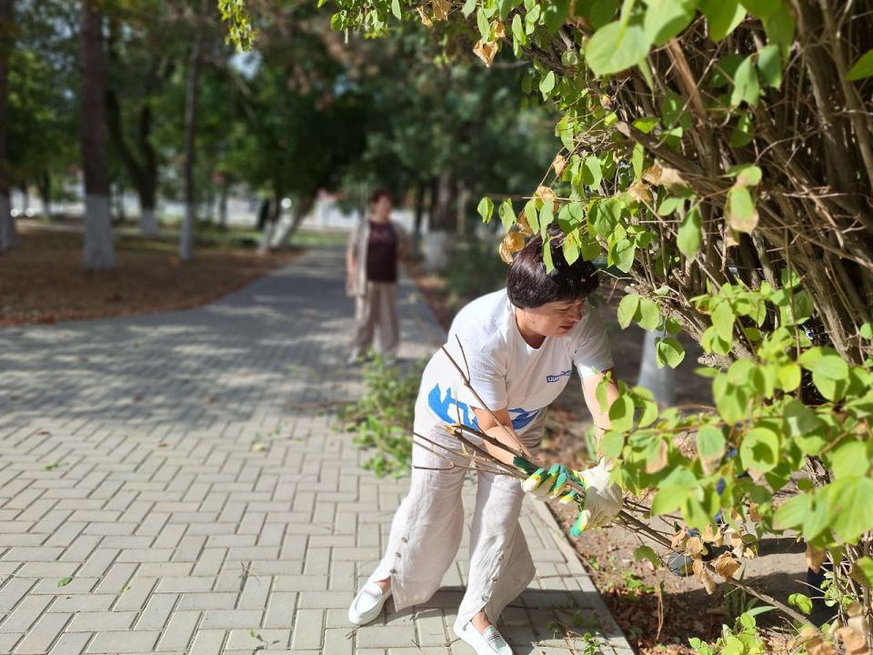 6 �������� � ��������� ������ ������ ��������� �� ���������� ������� � ��������������� ���������� ���������� �������