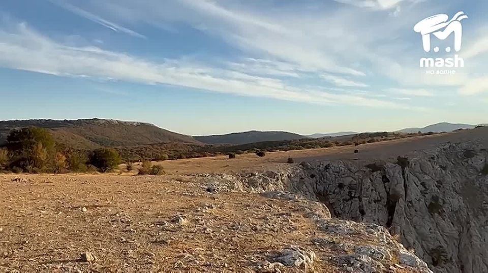 Показываем плюс одну причину просыпаться пораньше