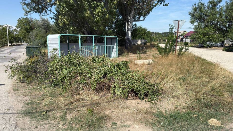 Антон Кравец: Чистота и порядок - это не просто красиво, это, прежде всего, проявление уважения к себе и окружающим Антон Кравец: Чистота и порядок - это не просто красиво, это, прежде всего, проявление уважения к себе и окружающим