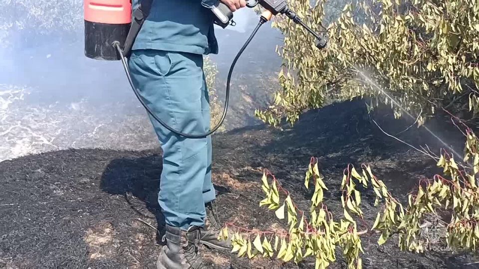 ��������� ��� ������ ����������� ����������� ����� � ��������� ������