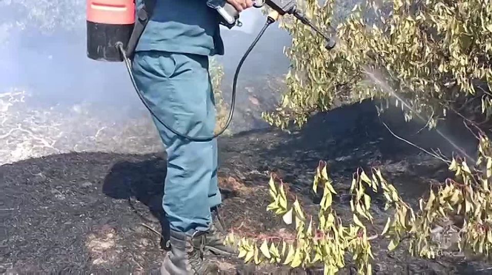 ����� � ��������� ������ ����������� �� 50 �������� � ��������������� ����� ��� ������