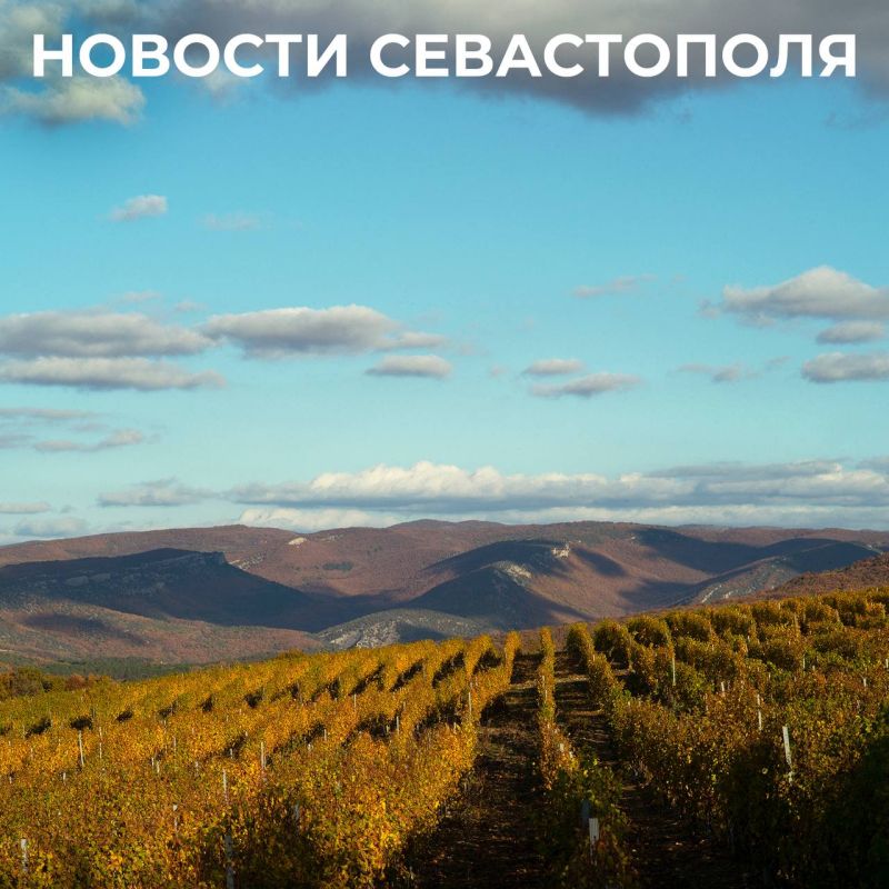  :   :.               -  