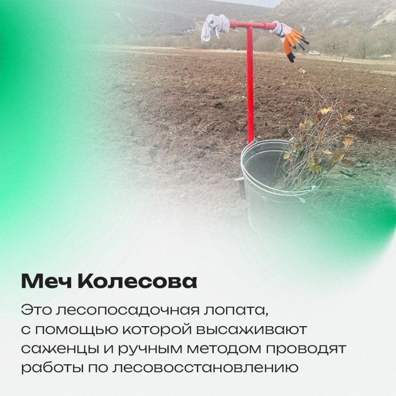 Новый пост в рубрике «Спецтехника» Новый пост в рубрике «Спецтехника»
