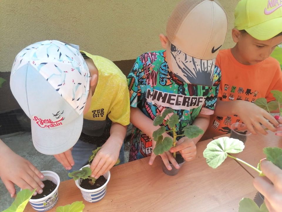 ����� ��������: �� ������ ������ ������� ������, ���� ����� ���������� ��������� � ������ ������� � ����� ����� �� �������������� ������� �� ���� � ������� ���� ������ � ������ �������� ����� 6 ����� �������, �������, � �...