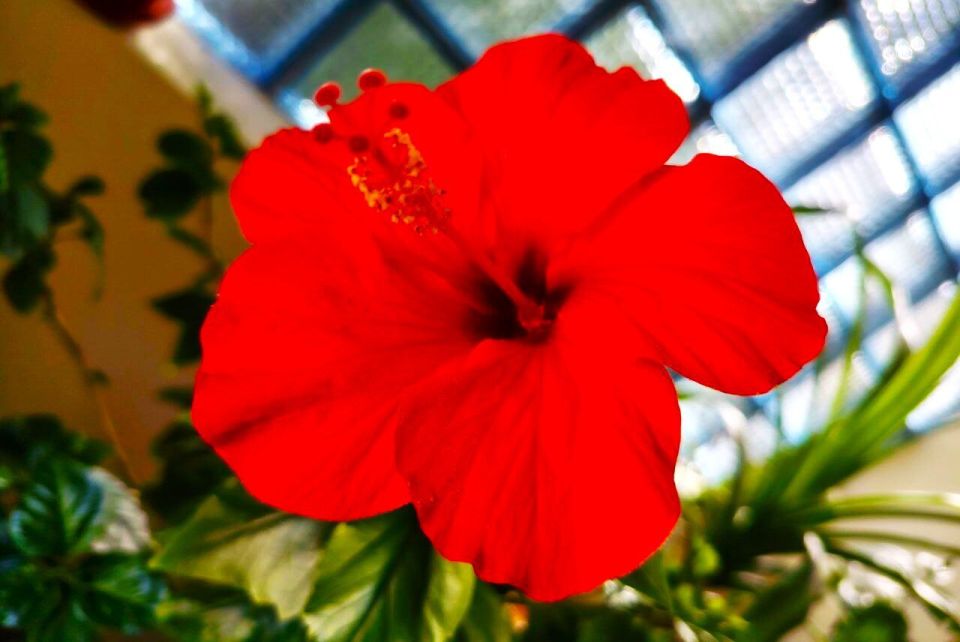 � ������ �����, �������!. ������ ��� ����� ���� ������� ��� � ��������� ��� ���������, �������, ����� ��� ������� � ������ � ����� ������� � ������ �������� �������� � ��������� ����������!