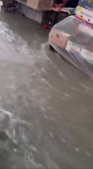 ���� � ����������� ����, � ���������� ��������� ������� �����