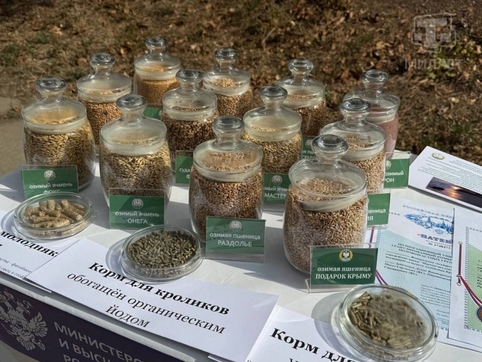 В Симферополе на Международной научной конференции «Современное состояние, проблемы и перспективы развития аграрной науки» собрались эксперты сельскохозяйственной отрасли для обмена опытом В Симферополе на Международной научной конференции «Современное состояние, проблемы и перспективы развития аграрной науки» собрались эксперты сельскохозяйственной отрасли для обмена опытом