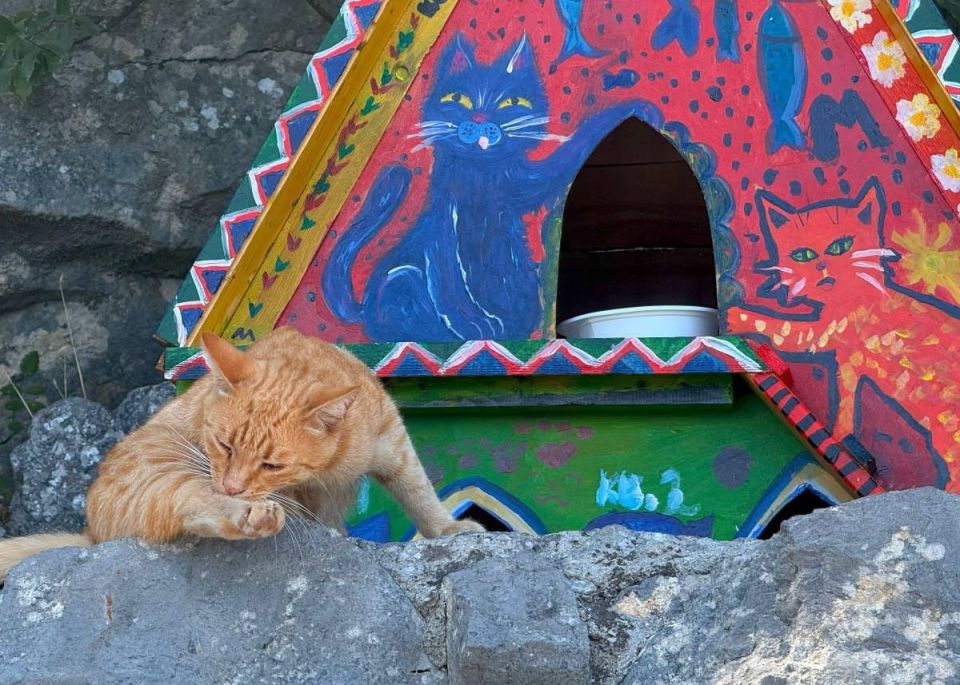 ������ ��� �������� �� ��������� ����� � ����