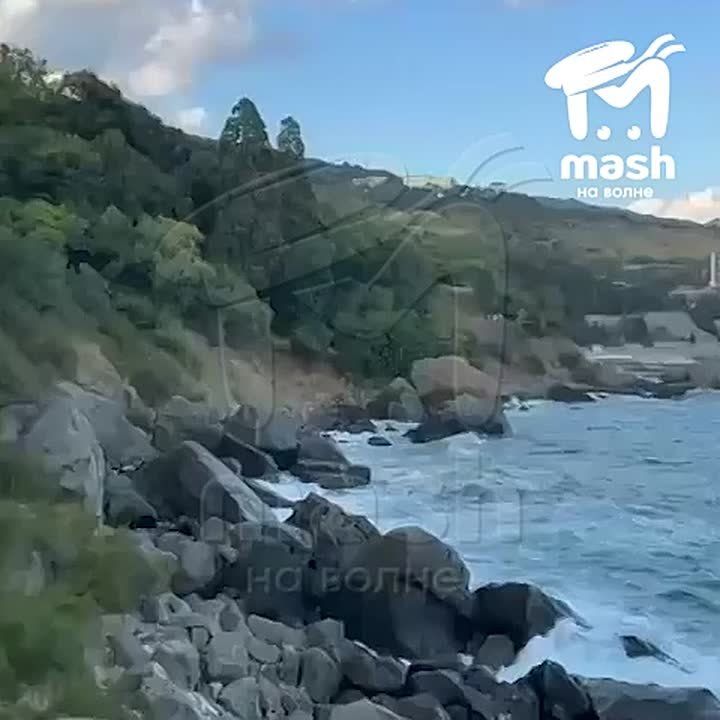 ���� ������ ����� �������� � ����� � ������