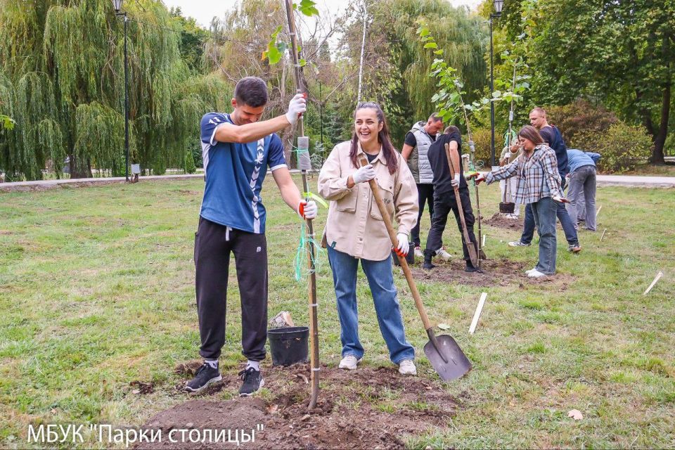 Аллея липы крупнолистной высажена сегодня в парке Гагарина Аллея липы крупнолистной высажена сегодня в парке Гагарина