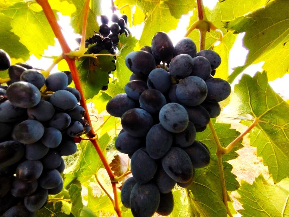 � ������ �����, �������!. ����� ����� � ������� ������� ������� ������ ������������ ��� ���� ����, ������� � �����, �������� ������, ������� �����, ����� � �����������! ���������� ��� ����� � ��������� ����������!