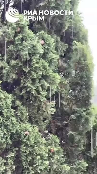 ����� � �������� ������� � ������ ��������� �� ����