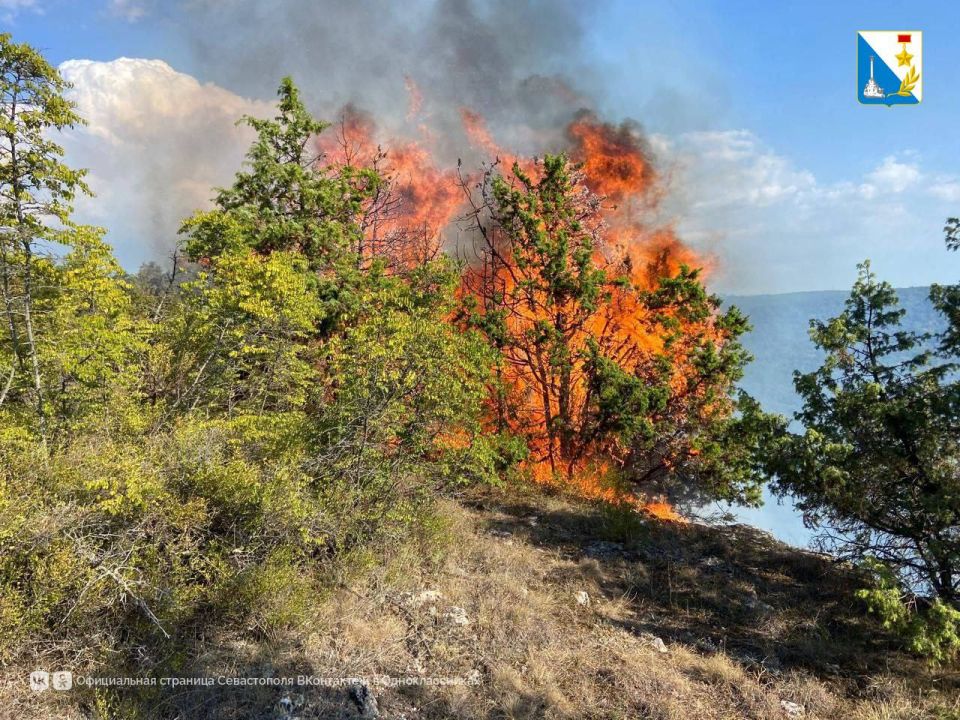Особый противопожарный режим продлен