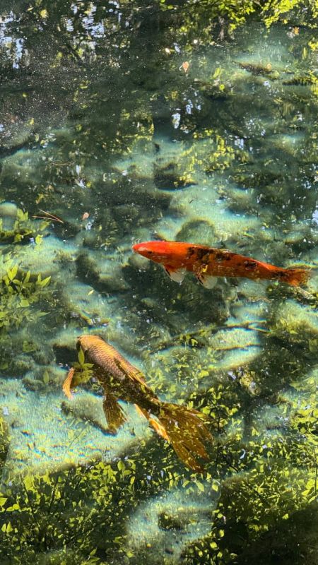 ������ ��������� � ������