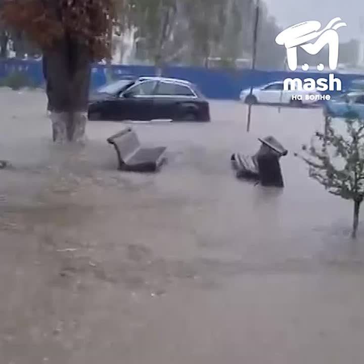 ��� �� ����� ���������� �����, ����� ���������� � ����������� ����� ���������