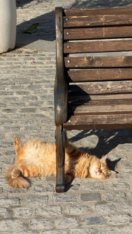 ������ ��������� � ������