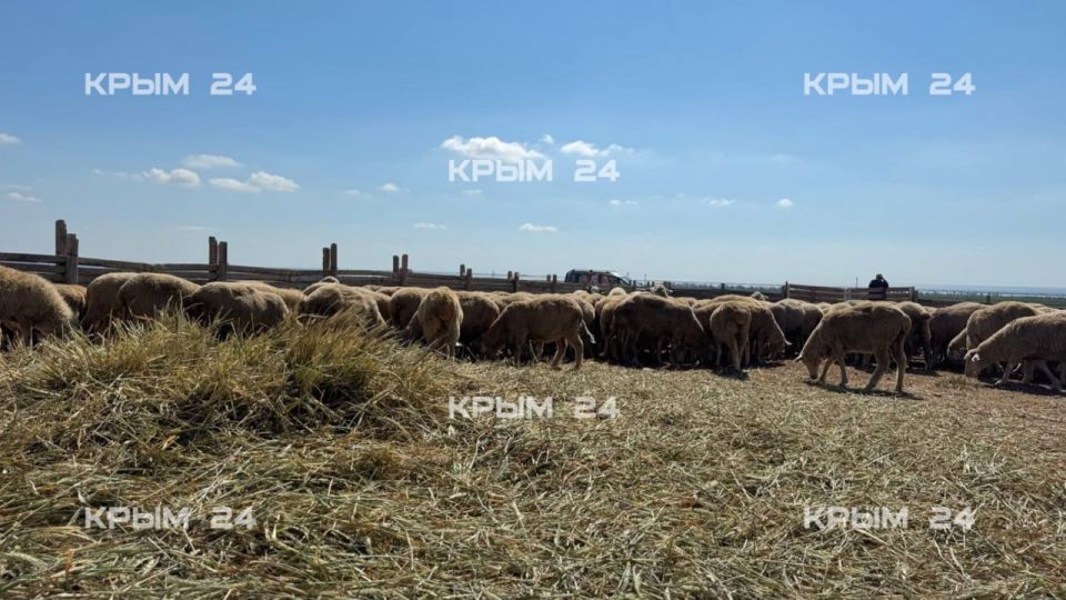 ����� 300 ����� ���������� ��������� ���� ��������� � ��������� ������������� ������