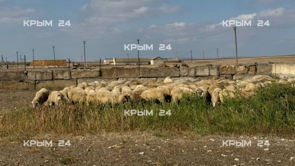 ����� 300 ����� ���������� ��������� ���� ��������� � ��������� ������������� ������