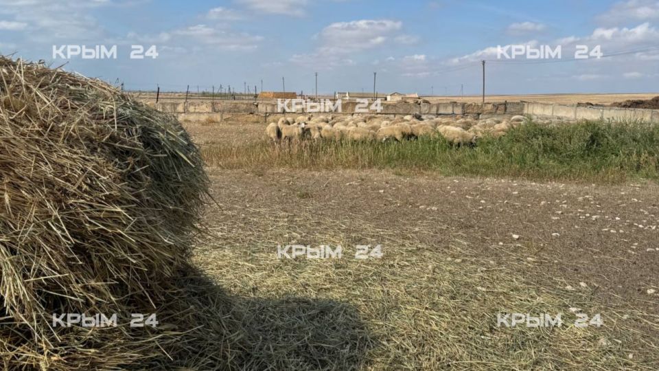 ����� 300 ����� ���������� ��������� ���� ��������� � ��������� ������������� ������