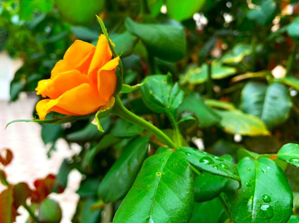 � ������ �����, �������!. � ������ ���� ���� � ��� ����������, ������� ����������� � ����� ������ � ��� �����, ����� ������, �� �� �� ��-������ ���������� � ������ ������ �� ����� �����