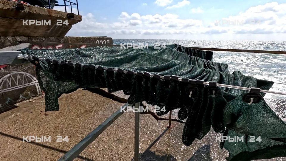 ���������� ����� ������ ����� ����� �������� � ������