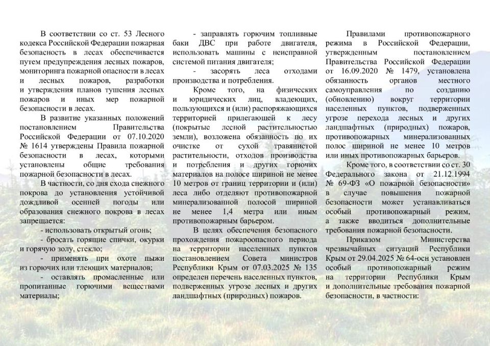 Наш крымский лес – в ваших руках Наш крымский лес – в ваших руках