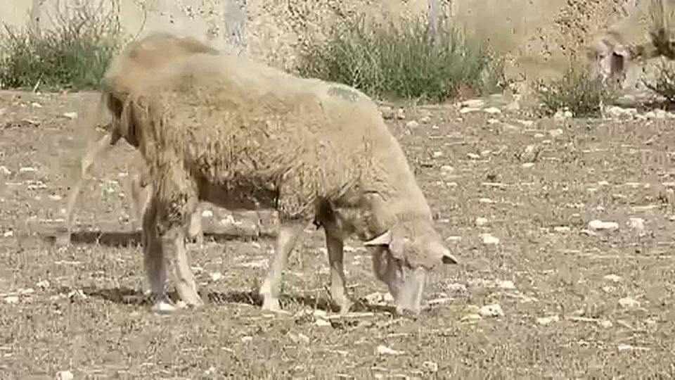 ��� ������� ��� �������������: ����� ��������� � �������� �����