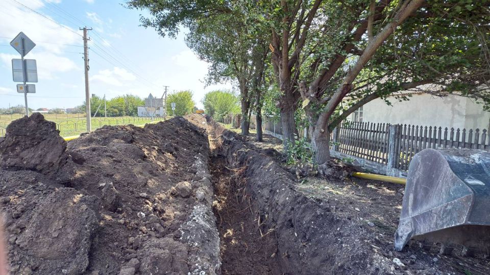 ����� ������: ������� ���� � ����� ������������ ��������� ������ ����� � ���������� �����������