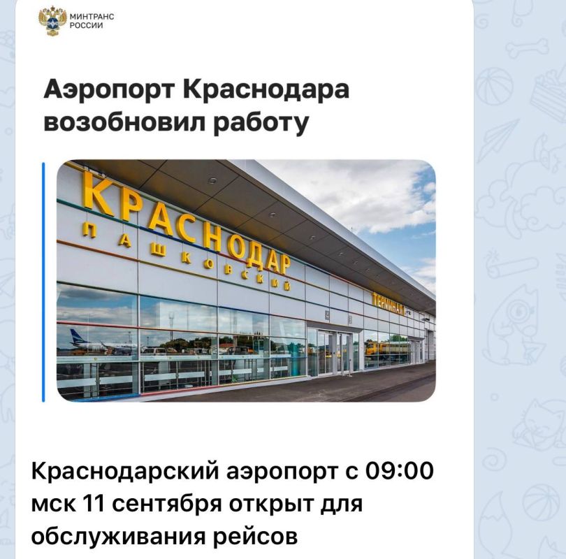  :      ,         2022    