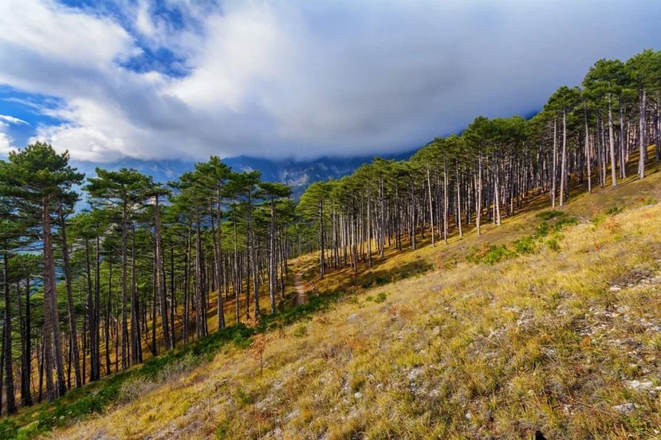 Сезон лесов объявляется открытым!
