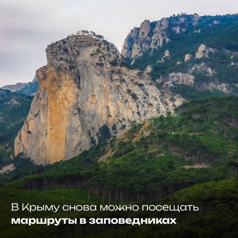 � ����� ����� ����������� �� ��������� �������-���������������� ���������, ������������� ��-�� ������ �������