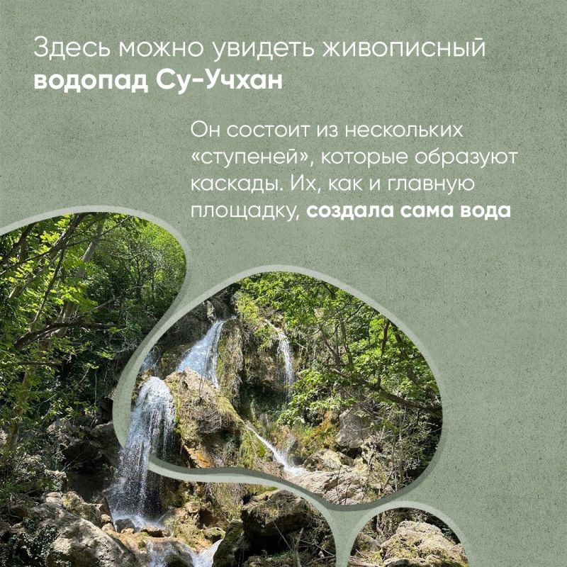 Ольга Шевцова: Знаете идеальное место для семейного отдыха Ольга Шевцова: Знаете идеальное место для семейного отдыха
