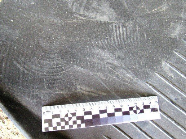 � ����������������� ������ ��������� �������, ������� ����� ��������� ����������