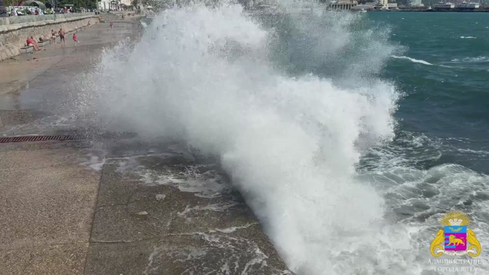 ����� ��������: ������, ���� ����� ��������� � 4 ����� �� ����� �������, ������� ��������� ����� � ��������� ������� ����� � ������� � ����� �� ���������������� ���������� ���������