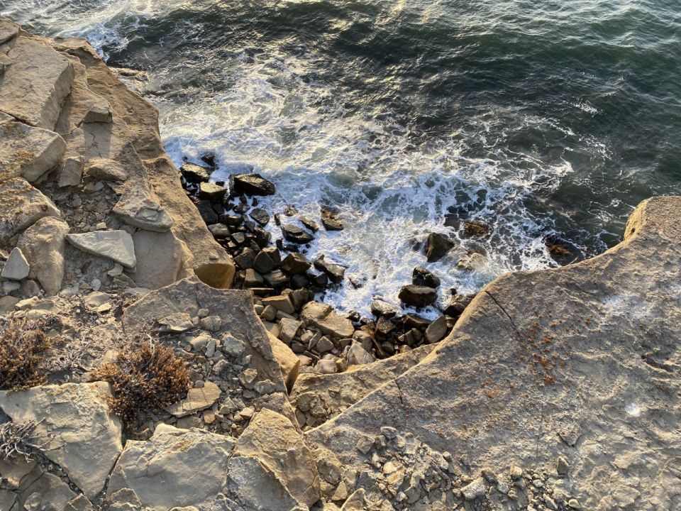 ������� ������ � ����� �� 14 ��������