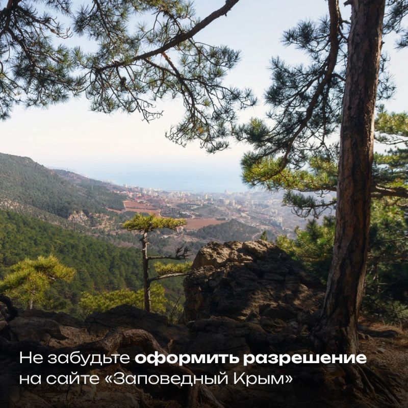 В Крыму сняты ограничения на посещение эколого-просветительских маршрутов, установленные из-за угрозы пожаров В Крыму сняты ограничения на посещение эколого-просветительских маршрутов, установленные из-за угрозы пожаров