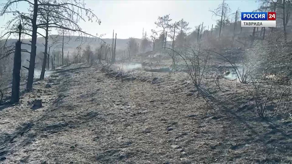 Дежурная часть Вести Крым: выпуск 15.09.2025