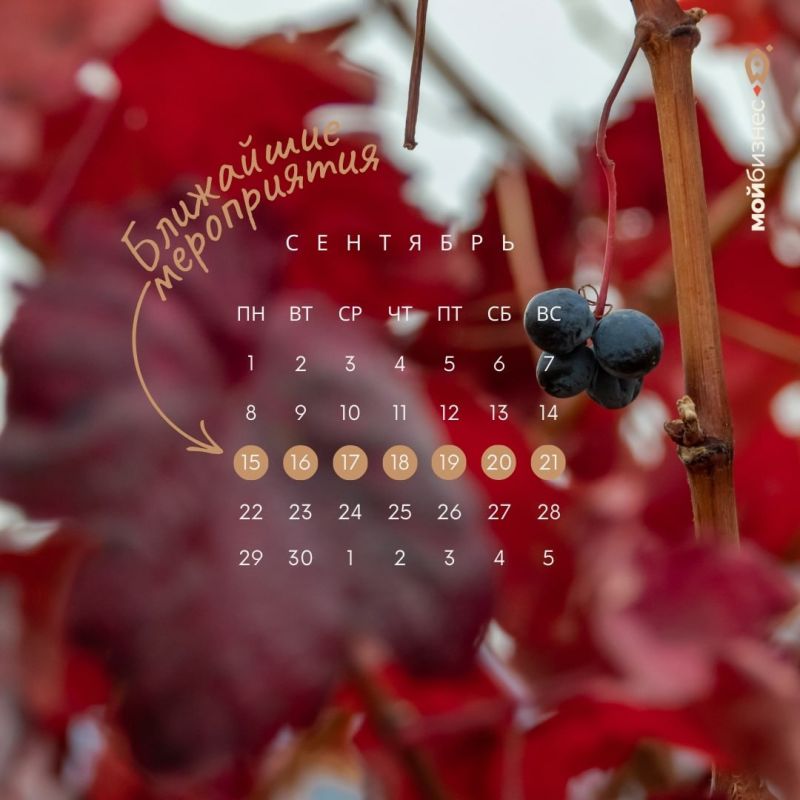 ��������� �����������: 15 � 21 ��������