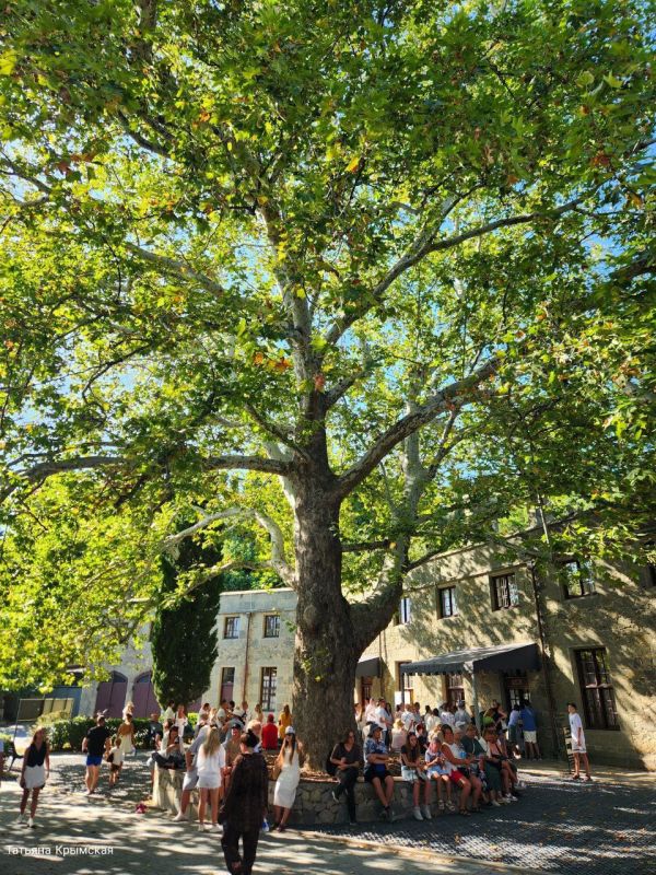 ���� ������������� ������. ������