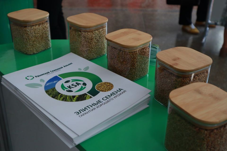 ���� �������: �������� ��������� ��������� � ���� �� ����� �������� �����������