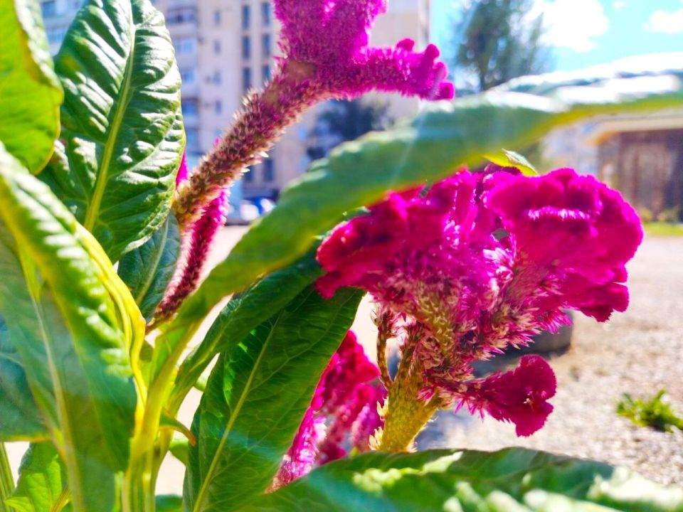 � ������ �����, �������!. ����� ������ ��������� ������ ���� ����� ��������� ������������ � ��������, ��������� �������� ����