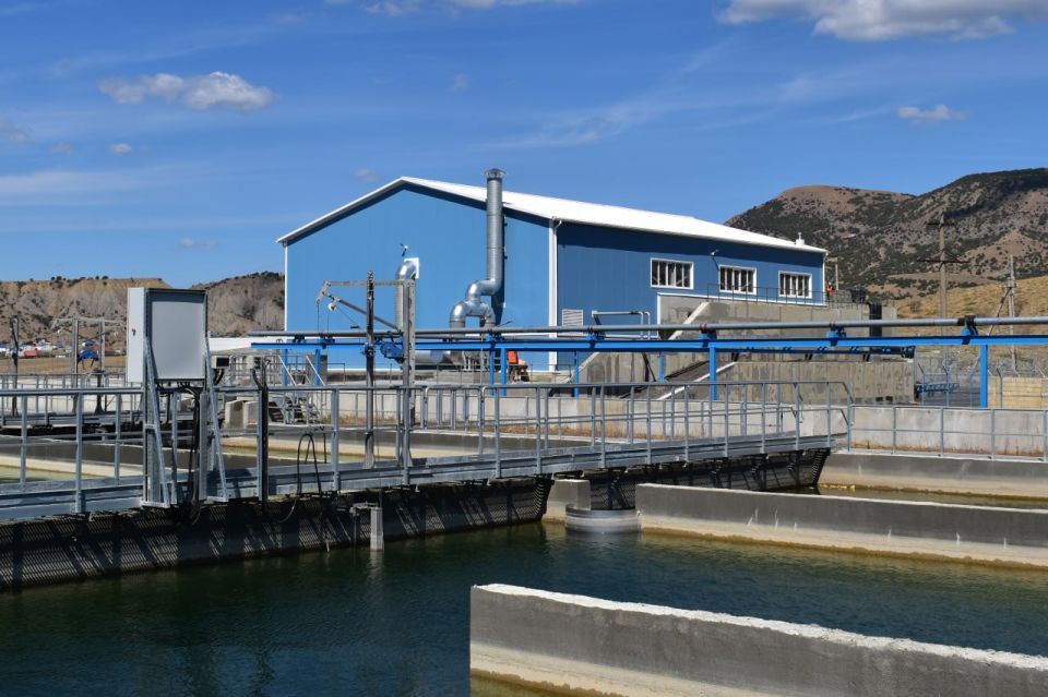  :     ()        99 %.     3,4  