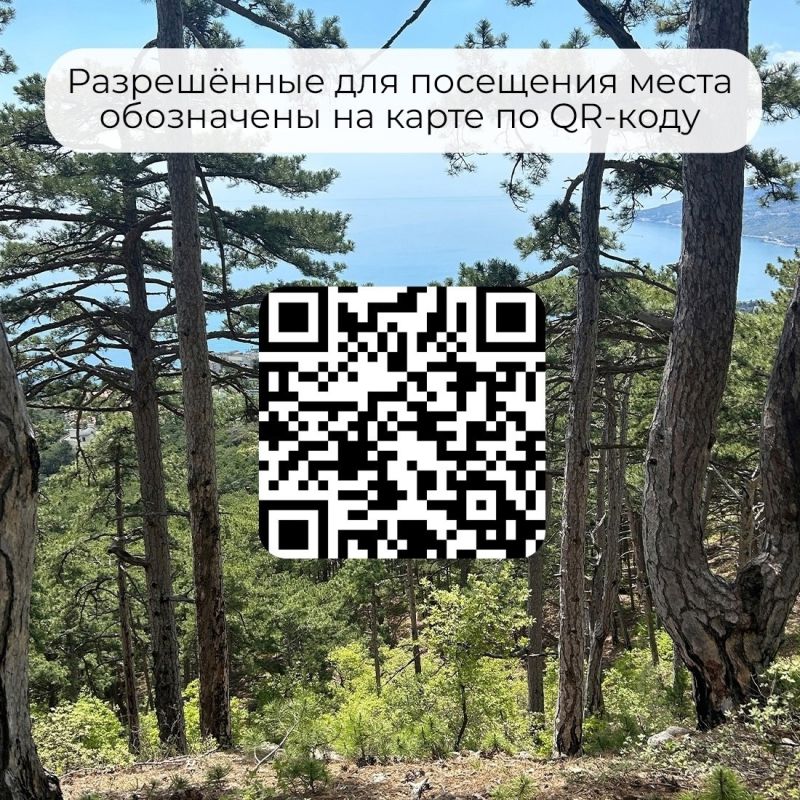 На календаре 17 сентября, хочется взять термос с чаем и отправиться в поход в лес На календаре 17 сентября, хочется взять термос с чаем и отправиться в поход в лес