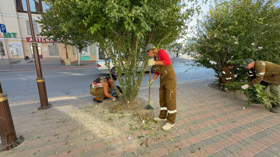 Сотрудники Службы городского хозяйства ухаживают за зелеными насаждениями вдоль улицы Самойленко Сотрудники Службы городского хозяйства ухаживают за зелеными насаждениями вдоль улицы Самойленко