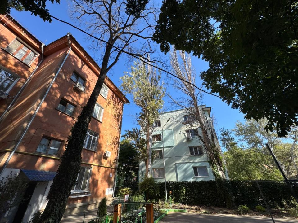 Сотрудники Службы городского хозяйства ухаживают за зелеными насаждениями вдоль улицы Самойленко Сотрудники Службы городского хозяйства ухаживают за зелеными насаждениями вдоль улицы Самойленко