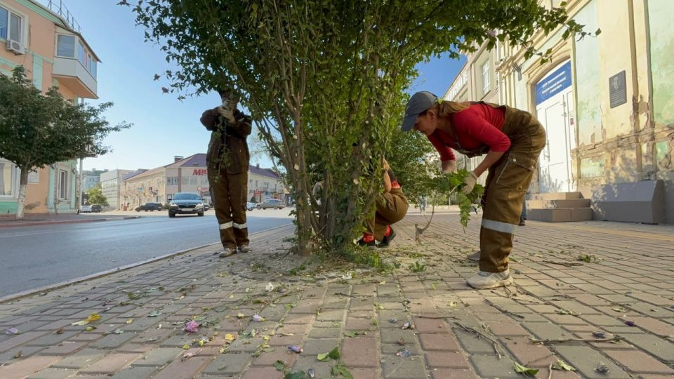 Сотрудники Службы городского хозяйства ухаживают за зелеными насаждениями вдоль улицы Самойленко Сотрудники Службы городского хозяйства ухаживают за зелеными насаждениями вдоль улицы Самойленко