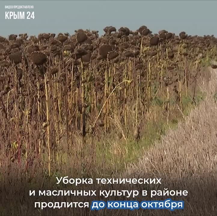 � ����� ������������ ������ �������������