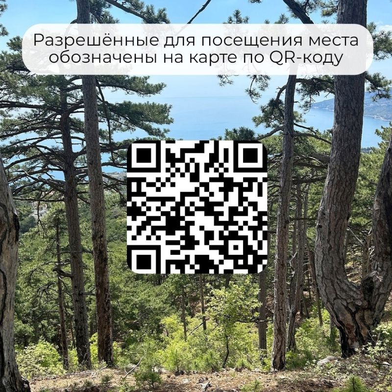 В Крыму продлили ограничение на посещение лесов В Крыму продлили ограничение на посещение лесов