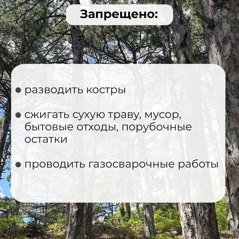 В Крыму продлили ограничение на посещение лесов В Крыму продлили ограничение на посещение лесов